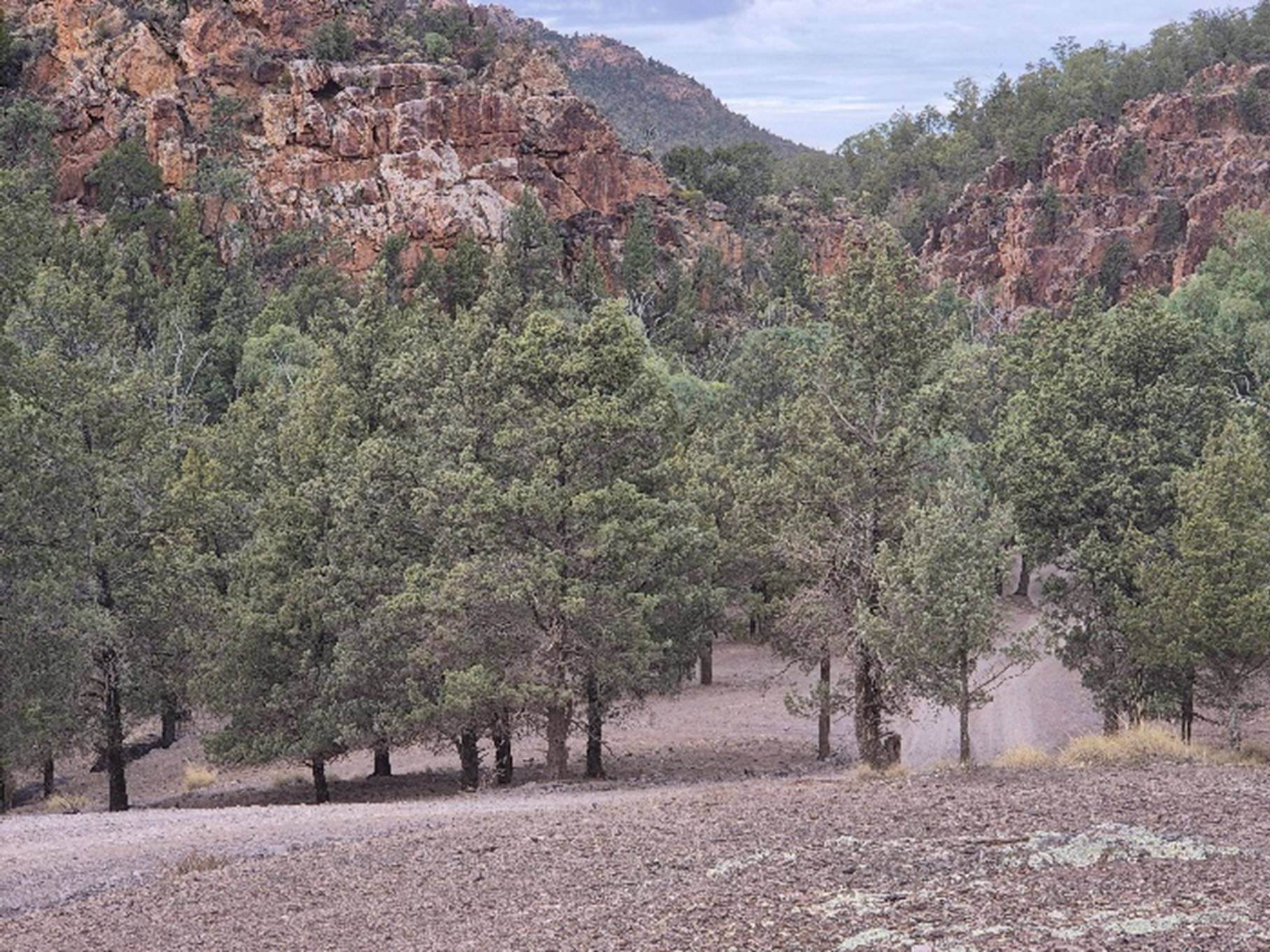 A view of a mountain range

AI-generated content may be incorrect.