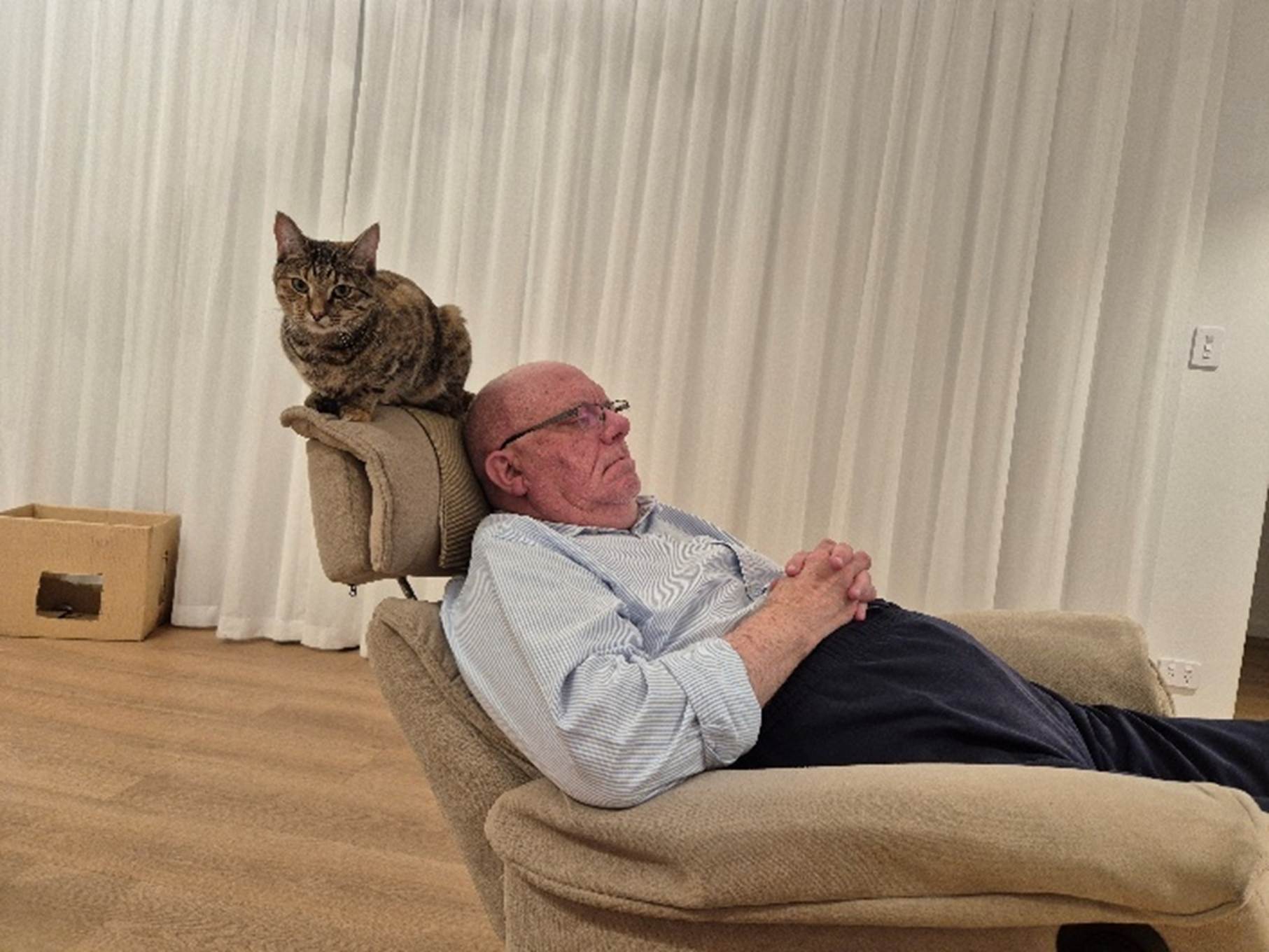 A cat sitting on a person's back

AI-generated content may be incorrect.